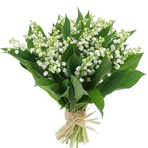 Le 1er mai, on s'offre du muguet